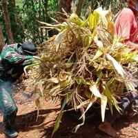 punya-dokumentasi-army-baik-hati-share-disini-community-challenge-forum-militer