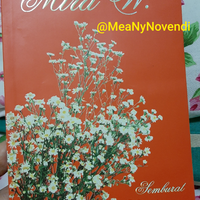 coc-buku-review-novel-mira-w-semburat-lembayung-di-bombay