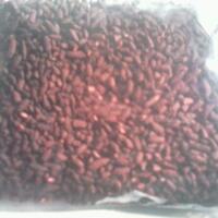 normalkan-trombosit-dengan-ankak