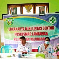 lokakarya-mini-linsek-puskesmas-lambunga-kecamatan-kelubagolit