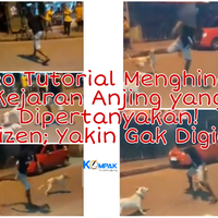 video-tutorial-menghindari-kejaran-anjing-yang-dipertanyakan-netizen-yakin-aman