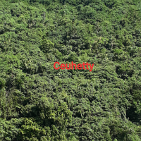 misteri-curug-luhur-di-cibitung-cikaso