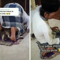 viral-kucing-menyelinap-ke-dalam-sarung-bapak-yang-lagi-salat-bikin-warganet-ngakak