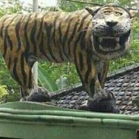 geger-foto-soal-ujian-smp-yang-puji-puji-anies-baswedan-dan-ejek-mega