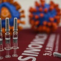 vaksin-covid-19-sinovac-belum-bisa-digunakan-januari-2021-ini-alasannya