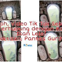 heboh-video-tiktok-sebuah-wc-terhubung-dengan-kolam-ikan-lele-netizen-pantes-gurih