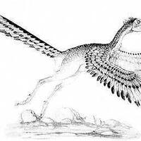 ilmuwan-mengungkap-asal-usul-reptil-terbang-di-era-dinosaurus