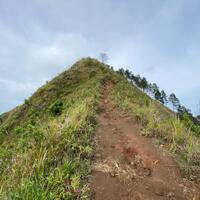 yuk-naik-gunung-andong-di-magelang