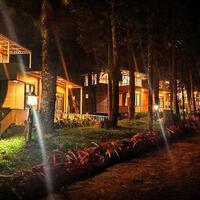 taman-safari-bogor-meriahkan-malam-pergantian-tahun-dengan-circus-street-carnival