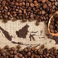 kopi-produksi-lokal-penikmatnya-seluruh-dunia