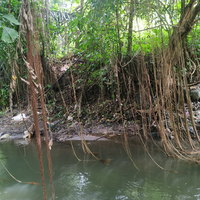 tegal-salahan-jilid-ii