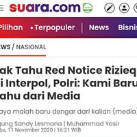 napoleon-banyak-surat-red-notice-automatically-deleted-seperti-djoko-tjandra