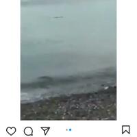 ganas-tangan-seorang-pria-ini-nyaris-putus-karena-serangan-buaya