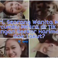 ngeri-viral-seorang-wanita-muda-bercumbu-mesra-di-tik-tok-dengan-seekor-harimau-ha