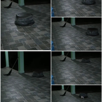 bikin-merinding-penampakan-ember-berjalan-di-teras-rumah-hantu