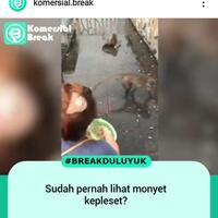 terlalu-takut-makanannya-diambil-monyet-ini-terpeleset-saat-sedang-berlari