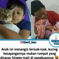sungguh-memilukan-bocah-ini-menangis-sampai-tersengkuk-lantaran-kesayangannya-mati