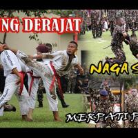 viral--brimob-dan-jawara-berhadapan-dalam-posisi-kuda-kuda-di-aksi-1812