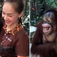 ramai-tagar-tangkapanakpaklurah-gibran-ya-tangkap-aja