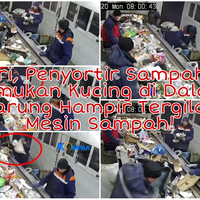 ngeri-seorang-penyortir-sampah-selamatkan-seekor-kucing-yang-hampir-tergilas-mesin