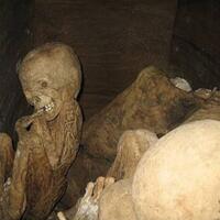 benarkah-fenomena-coffin-birth-itu-ada