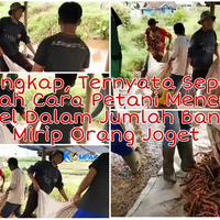 terungkap-ternyata-seperti-ini-cara-unik-petani-mencuci-wortel-dalam-jumlah-banyak