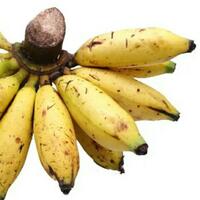 menengok-lagi-perjalanan-kasus-chat-mesum-rizieq-shihab