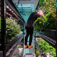 10-perkembangan-teknologi-yang-bikin-indonesia-makin-ketinggalan