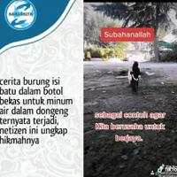 bukan-hanya-dongeng-kisah-seekor-burung-yang-memasuki-batu-ke-botol-sungguh-terjadi