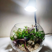 aquascape-for-everyone-learning-and-sharing---part-4