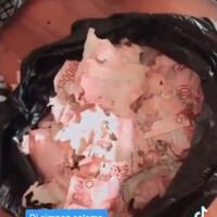 viral-bikin-nyesek-gan-uang-15-juta-habis-dimakan-rayap