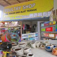 bisnis-makanan-burung-kicauunggas-ikan-poultry-shop-solusi-kaya-di-masa-pandemi