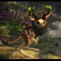 official-guild-wars-2-b2p--free-to-play-f2p