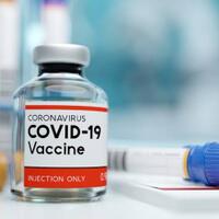 pandemi-corona-merajalela-who-tolak-wajib-vaksin-alasannya