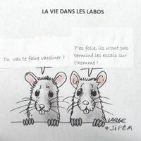 pandemi-corona-merajalela-who-tolak-wajib-vaksin-alasannya