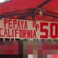 cara-promosi-pedagang-bikin-geleng-kepala-antara-tulisan-dan-dagangan-beda