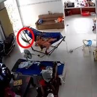 ngeri-ada-ular-masuk-rumah-saat-lagi-gendong-bayi-auto-panik