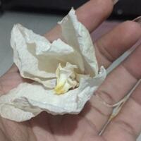 aku-dan-pengalaman-ghaibku