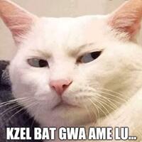 viral--wajahnya--dicakar--habis-oleh-kucing-cinta-bocah-ini-tak-luntur