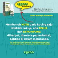 dicari-khusus-dropshipper-anti-kutu-kucing--jamur-untuk-kucing-dan-rumah