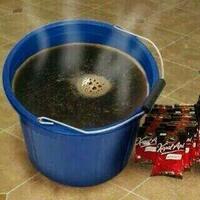 the-history-of-coffee