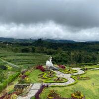 pesona-alam-gunung-gupak-kapan-bukak