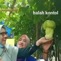 tawuran-pemuda-di-manggarai-utara-dipicu-anak-tuyul-nyalakan-petasan