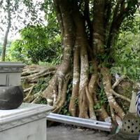 hidup-nyaman-di-new-york-agung-eko-pilih-pulang-dalami-laku-spiritual