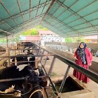 tempat-peternakan-hits-dan-viral-di-kabupaten-agam-sumbar