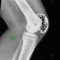 jokowi-optimis-tahun-ini-bisa-jadi-tahun-pemulihan