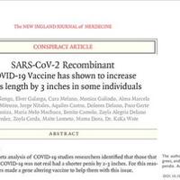 ternyata-vaksin-covid-19-pfizer-lebih-berbahaya-dibanding-sinovacloh