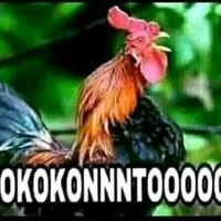 kabar-terbaru-ustaz-maaher-di-penjara-sakit-lambung-dan-mual-mual