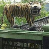 harimau-jawa-masih-belum-mau--mengaum-sebuah-konflik-di-masa-lalu