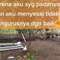 haru-cewek-rela-tinggal-dekat-kuburan-dan-dikucilkan-orang-demi-alasan-ini